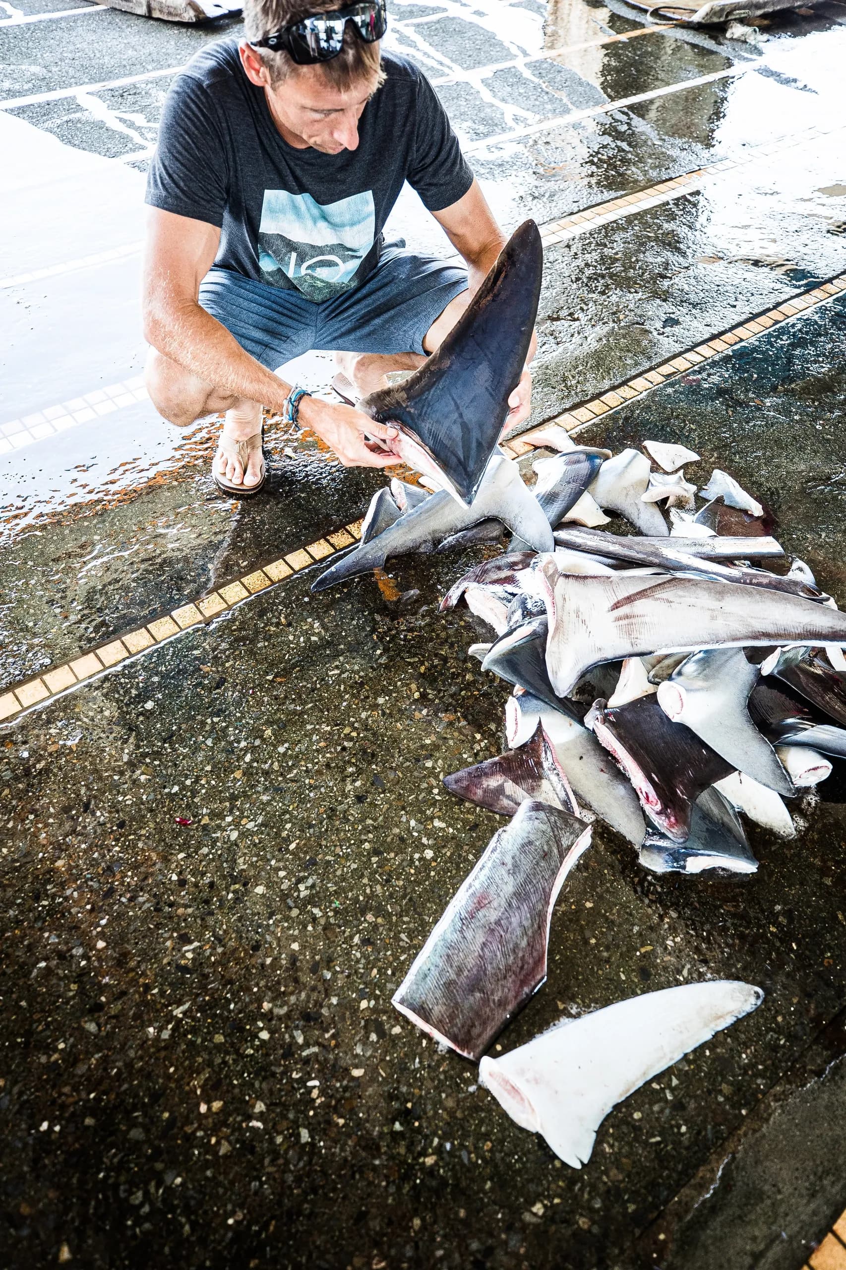 helpsavesharks a man sitting on the ground