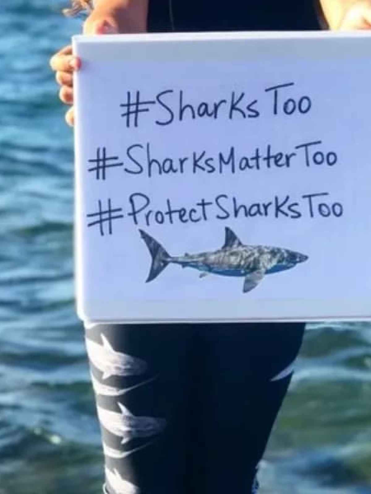 a person holding a sign